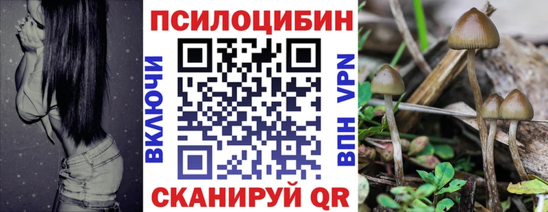Псилоцибиновые грибы прущие грибы Купить закладки Сковородино